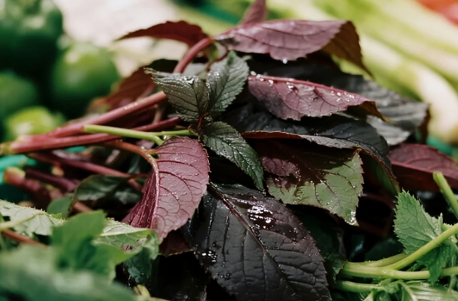 1757575384944029.png 微信截图_20250911152241.png