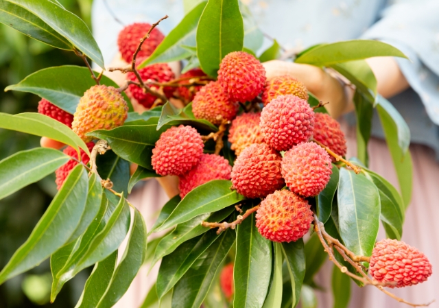 1757576013511642.png 微信截图_20250911153212.png