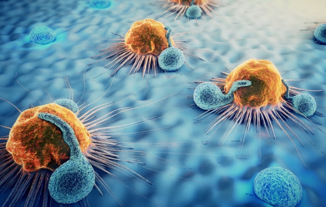 1757577229156540.png 微信截图_20250911155316.png